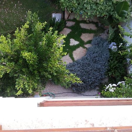 Smart Aparts Kalkan Extérieur photo