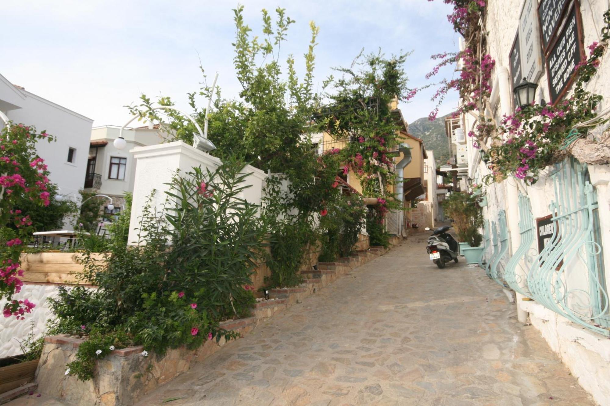Smart Aparts Kalkan Extérieur photo